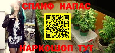винт Ставрополь