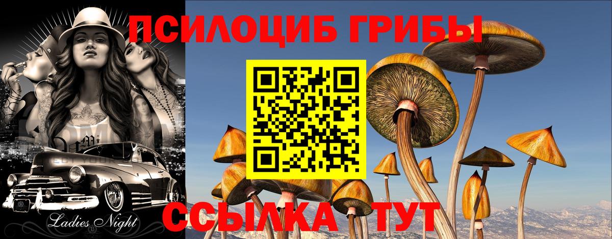 Галлюциногенные грибы GOLDEN TEACHER Сатка